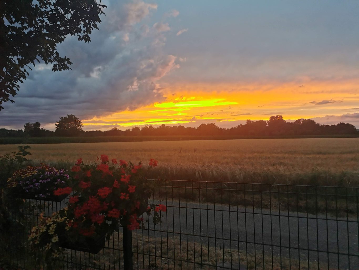 Genießen Sie wunderschöne Sonnenuntergänge Clubhaus der Hundefreunde Sonnenuntergang