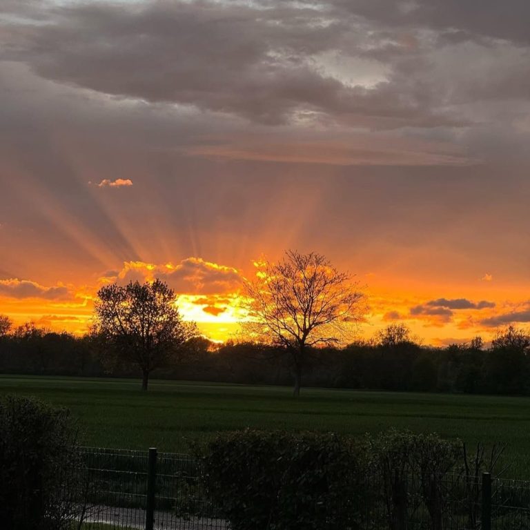 Außenbereich Sommer Außenbereich des Clubhauses im Sommer