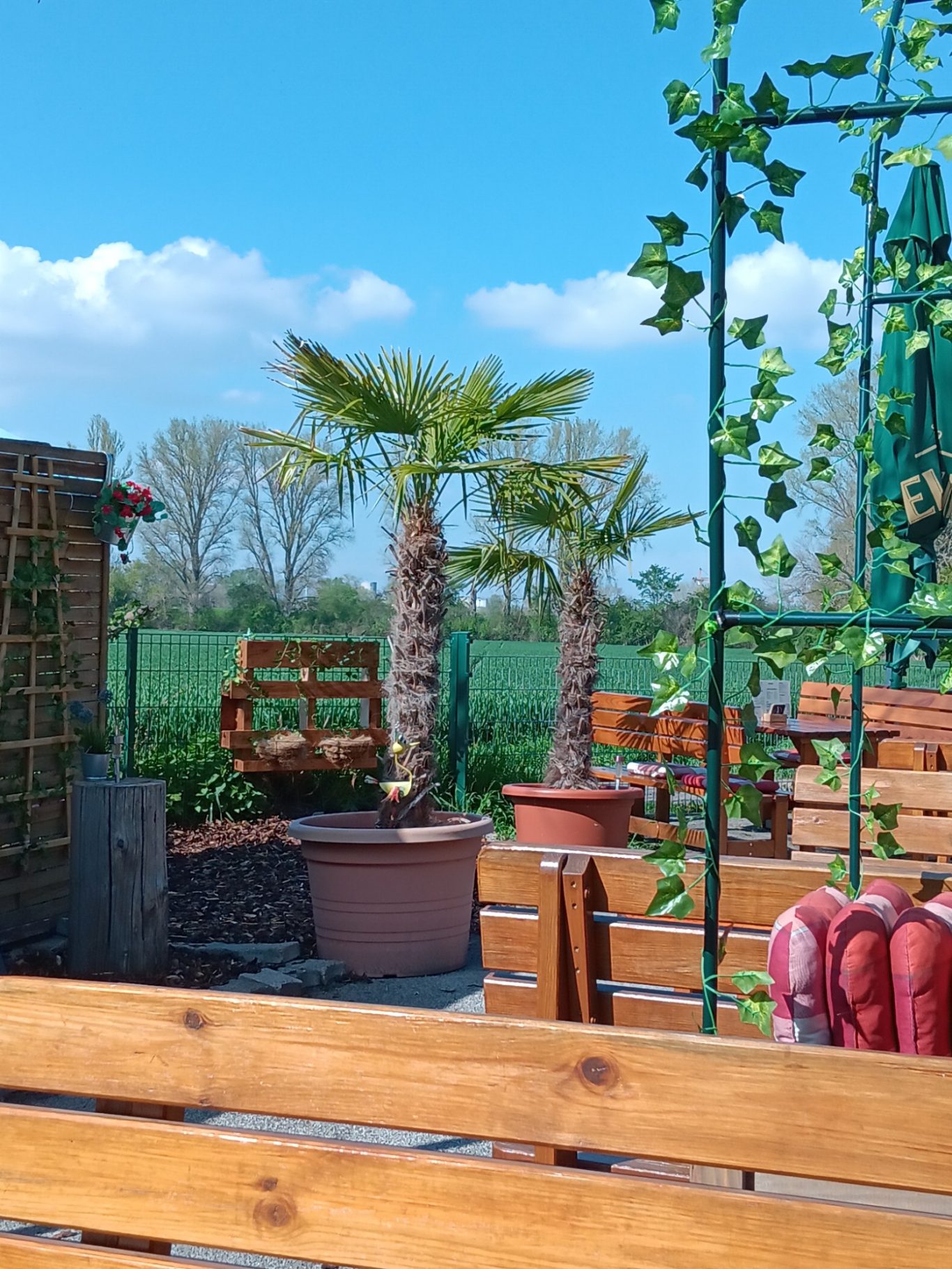 Angenehm und idyllisch Clubhaus der Hundefreunde mit Stil